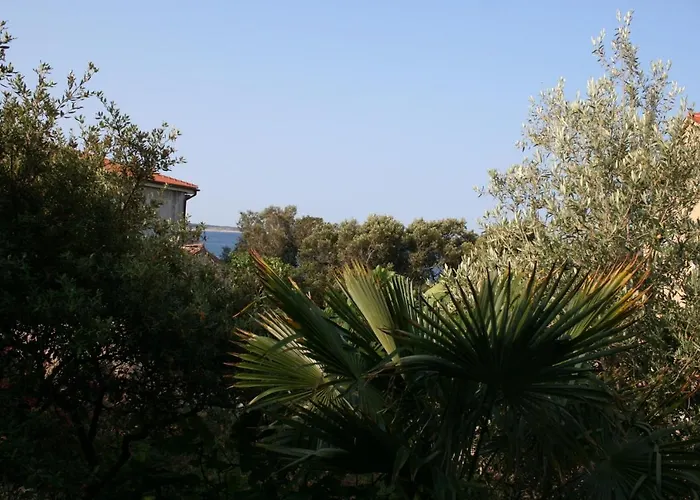 By The Sea Mandre, Pag - 6545 콜란
